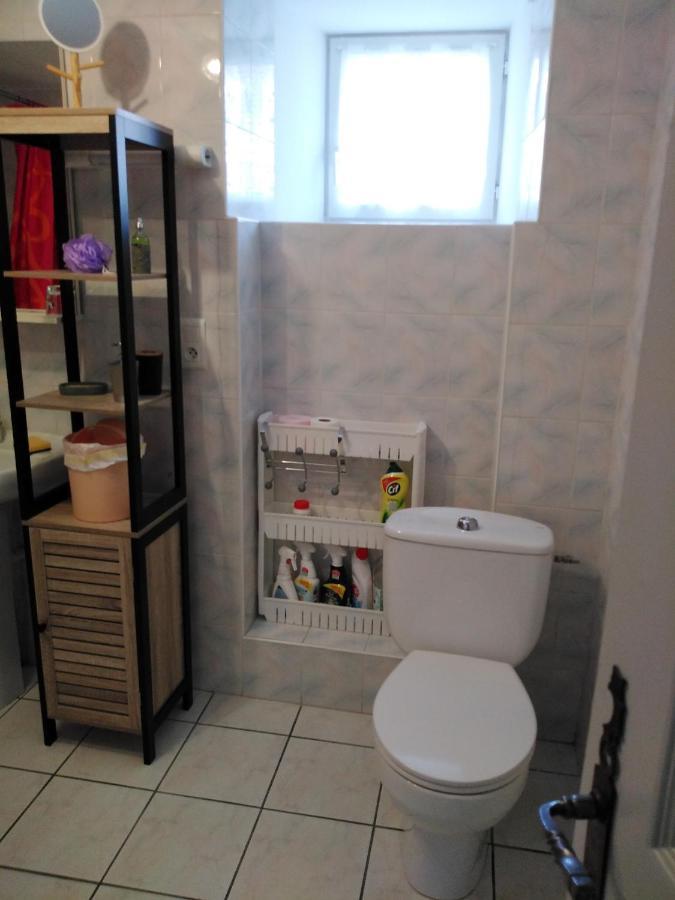 Chaleureux A La Campagne Apartment Saint-Germain-Laprade ภายนอก รูปภาพ